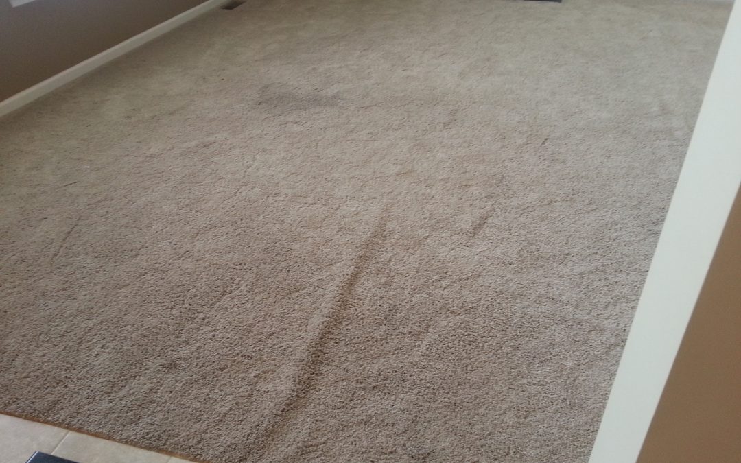 Carpet Bumps Maryland