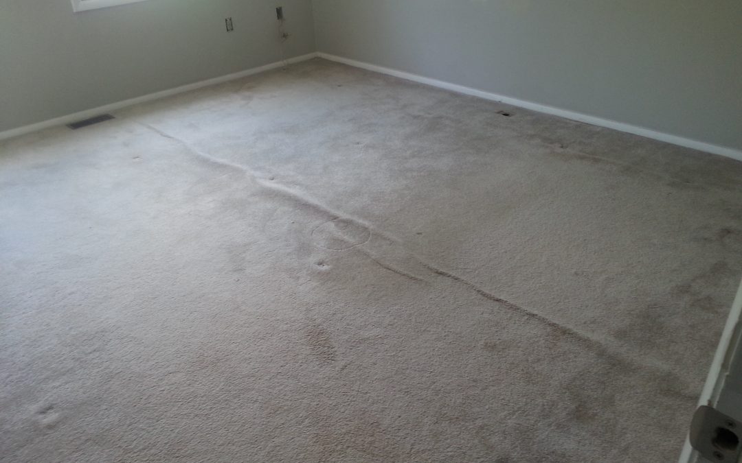 Carpet Bumps and Repair Rockville Maryland
