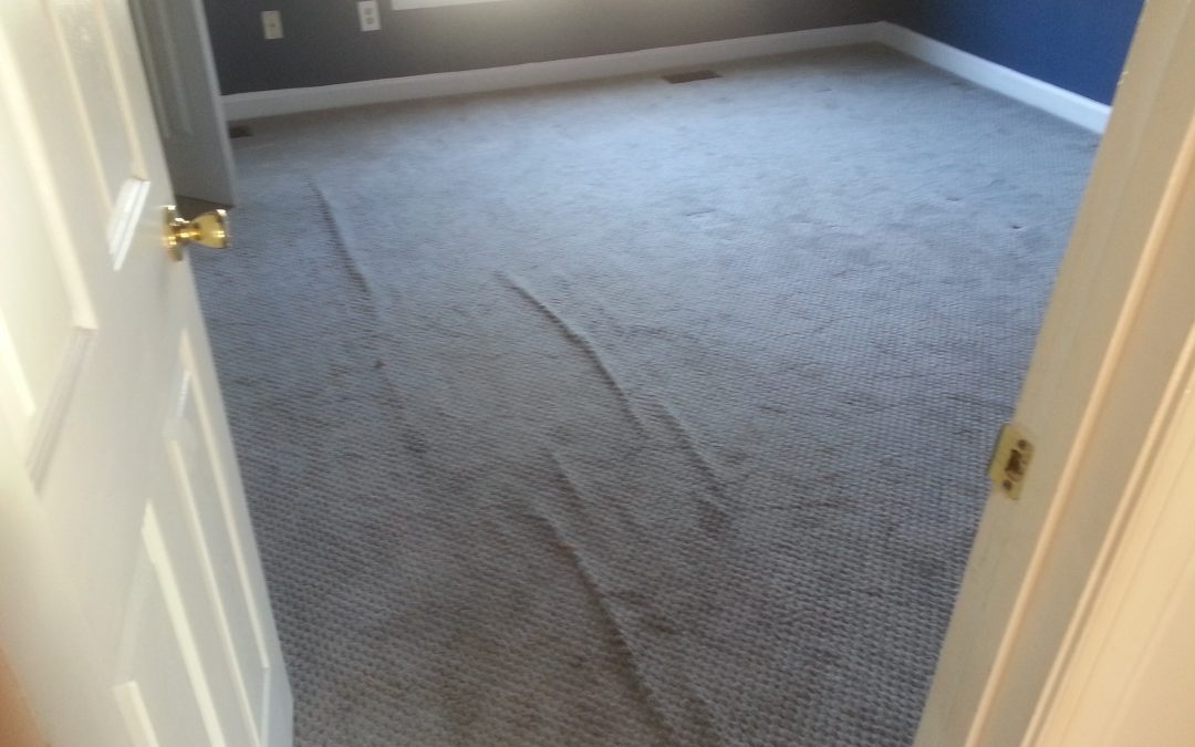 Carpet Stretching Bowie Maryland