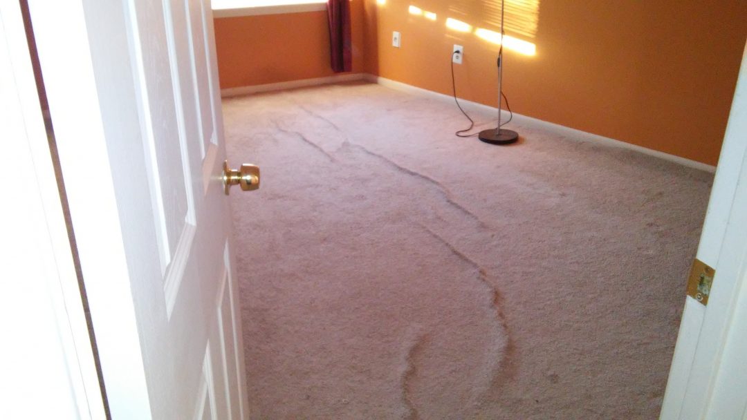 Carpet Stretching Laurel Maryland Maryland Carpet Repair