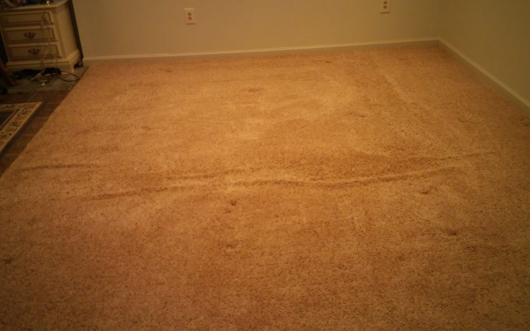 Carpet Stretching and Cleaning Maryland