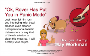 Silver Spring Carpet Cleaning