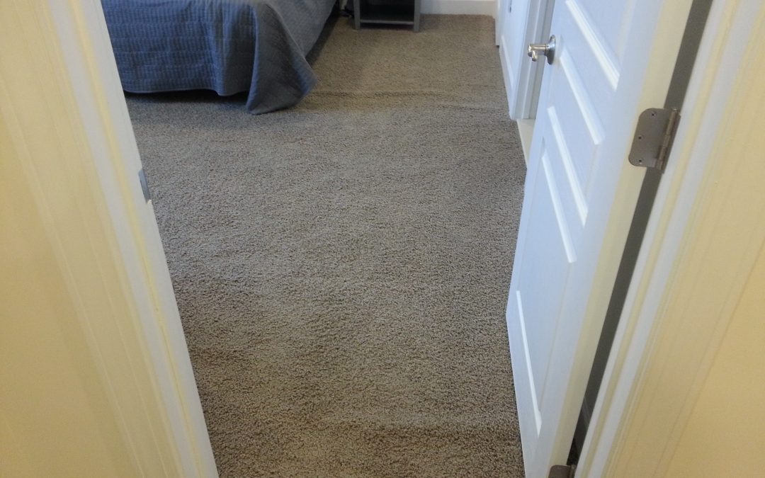 Carpet Stretching Silver Spring Maryland