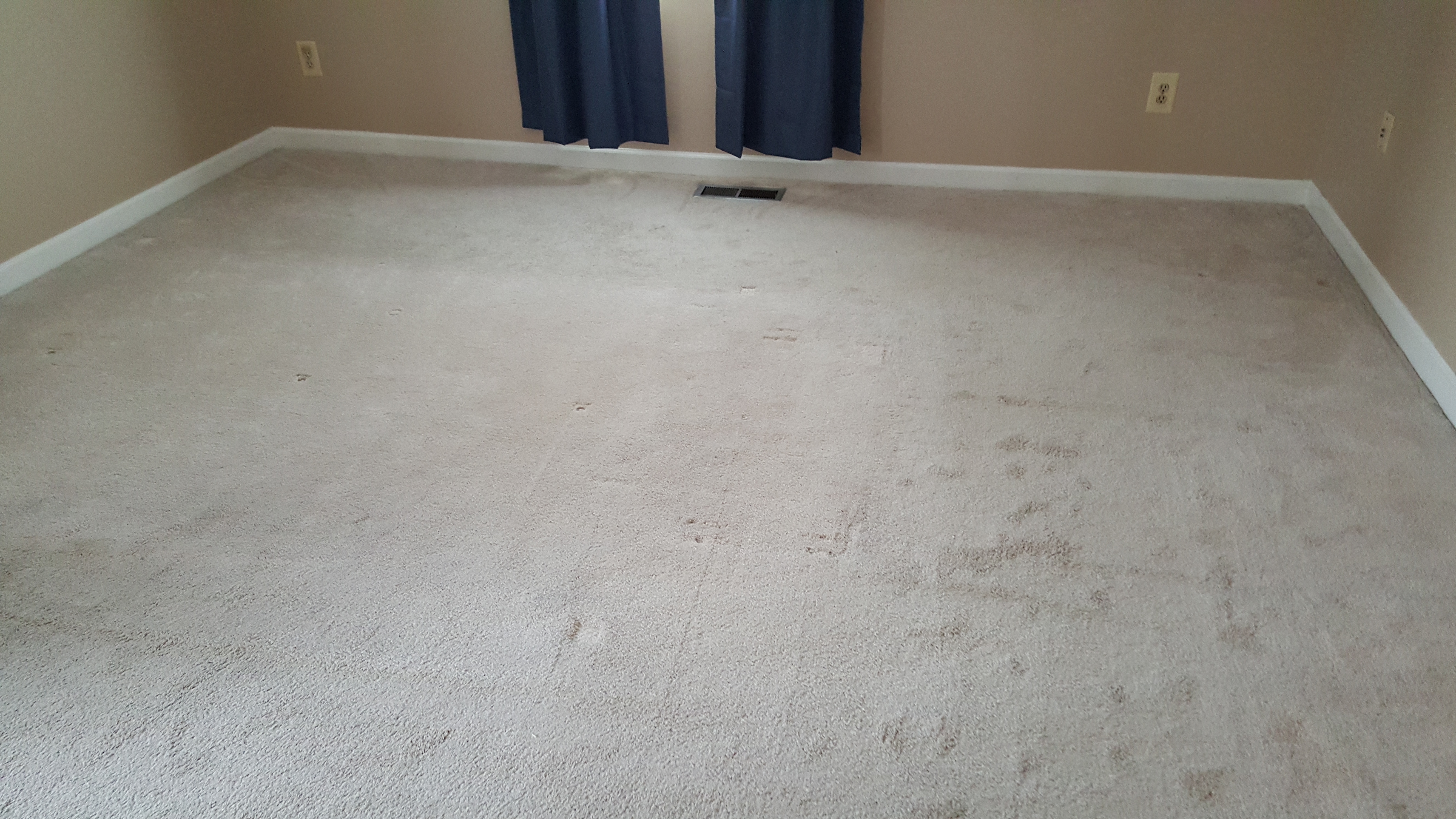 Maryland Carpet Stretching and Cleaning Service