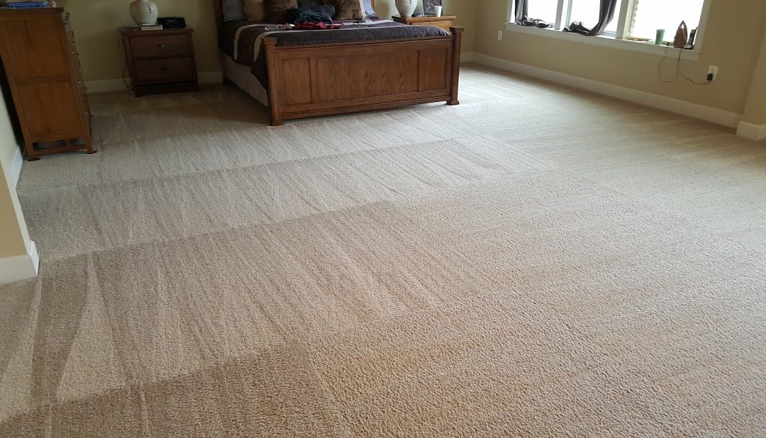 MD Carpet Stretching and Cleaning