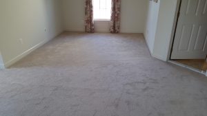 carpet cleaning and stretching maryland