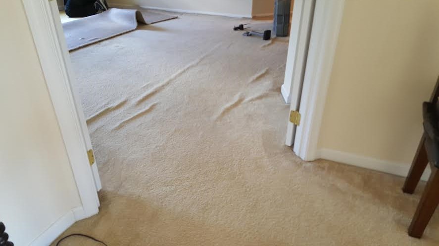 Carpet Stretching Annapolis MD