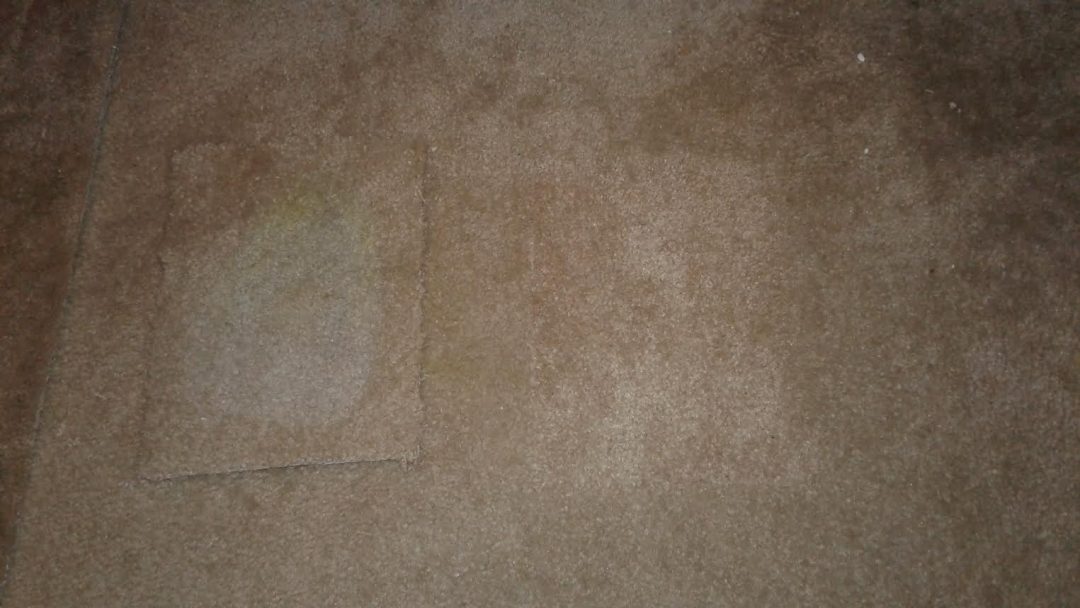 Carpet Stain Repair Laurel MD Maryland Carpet Repair