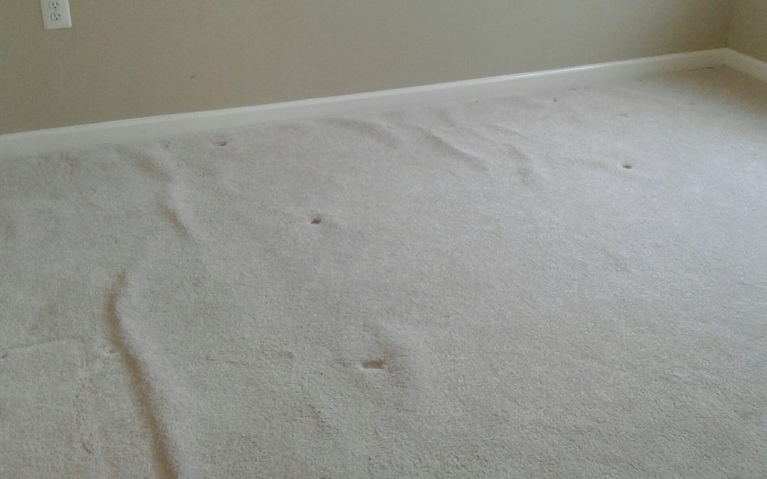Maryland Carpet Repair: Carpet Stretching Alexandria VA