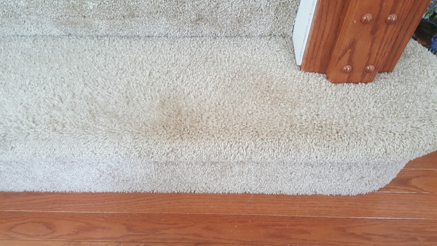 Bleach Stain Repair Columbia MD Maryland Carpet Repair