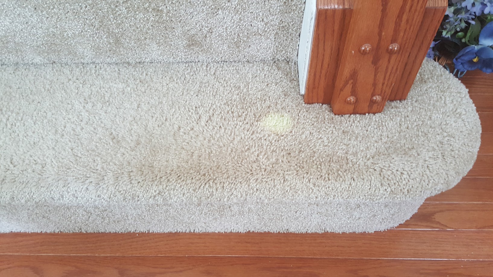 Bleach Stain Repair Columbia MD Maryland Carpet Repair