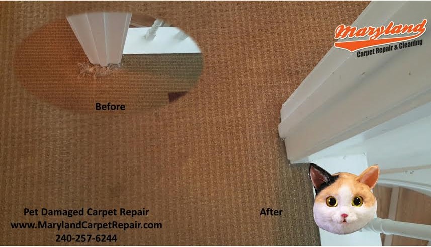 Carpet Repair Potomac MD