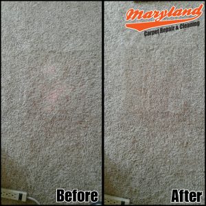 Carpet Stain Repair Bethesda MD