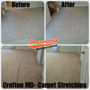 Crofton MD- Carpet Stretching