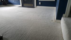 Rockville MD- Carpet Stretching- Carpet Repair