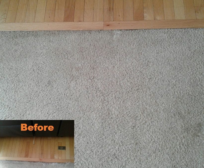 Silver Spring MD- Carpet Repair- Carpet Stretching