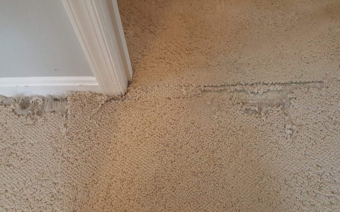 Carpet Repair Gaithersburg MD