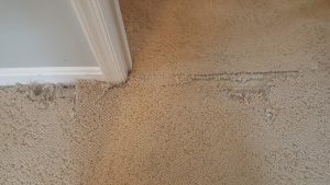 Carpet Repair Gaithersburg MD