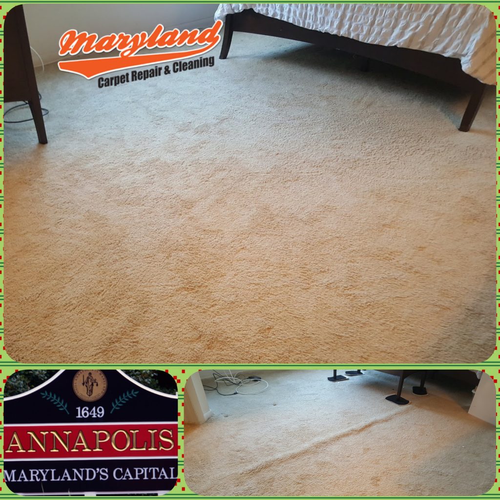 Carpet Stretching Annapolis MD Maryland Carpet Repair