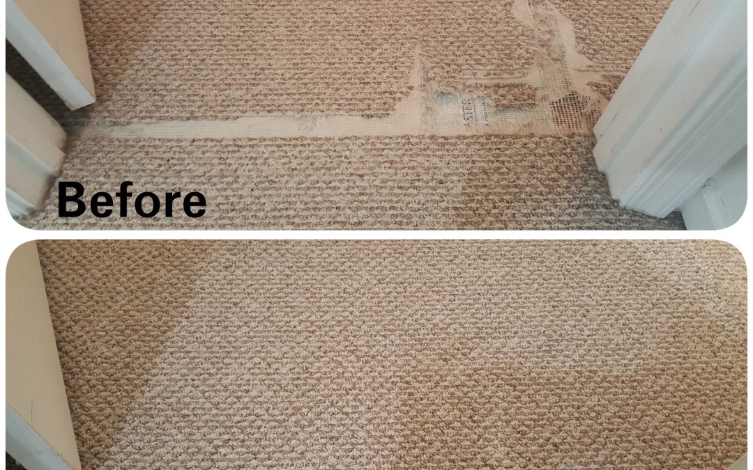 Berber Carpet Repair- Pet Damage