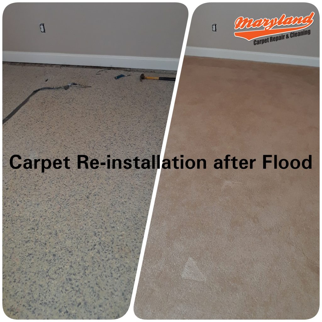 Carpet Reinstallation After Flood Silver Spring Md Maryland Carpet Repair