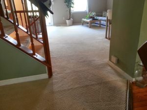 Carpet Stretching Crofton MD