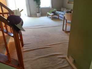 Crofton MD Carpet Stretching