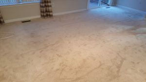 Maryland Carpet Stretching Upper Marlboro MD