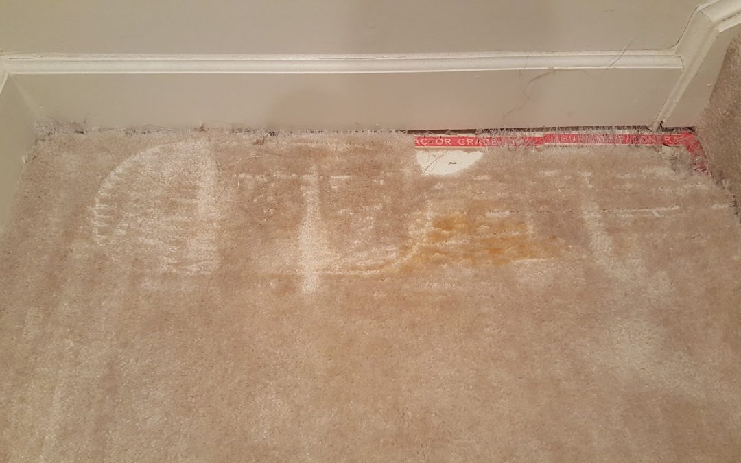 Pet Damage Carpet Repair Fulton MD