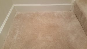 Pet Damage Carpet Repair Fulton MD