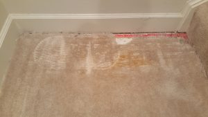 Pet Damage Carpet Repair Fulton MD