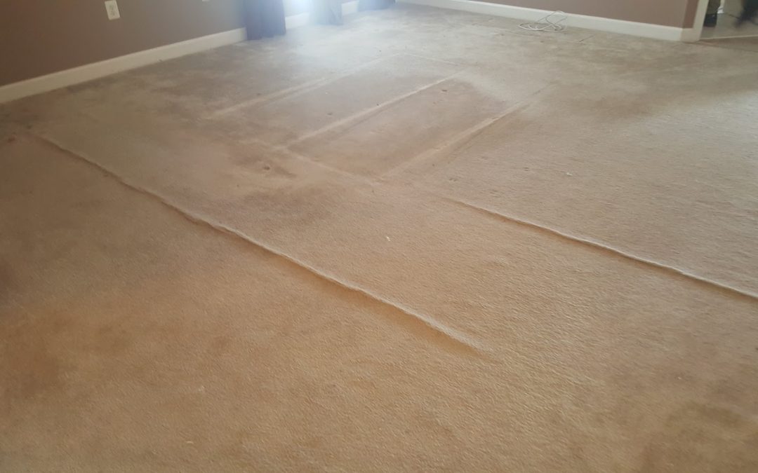 Carpet Stretching and Cleaning Gaithersburg MD