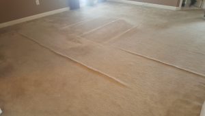 Carpet Stretching and Cleaning Gaithersburg MD