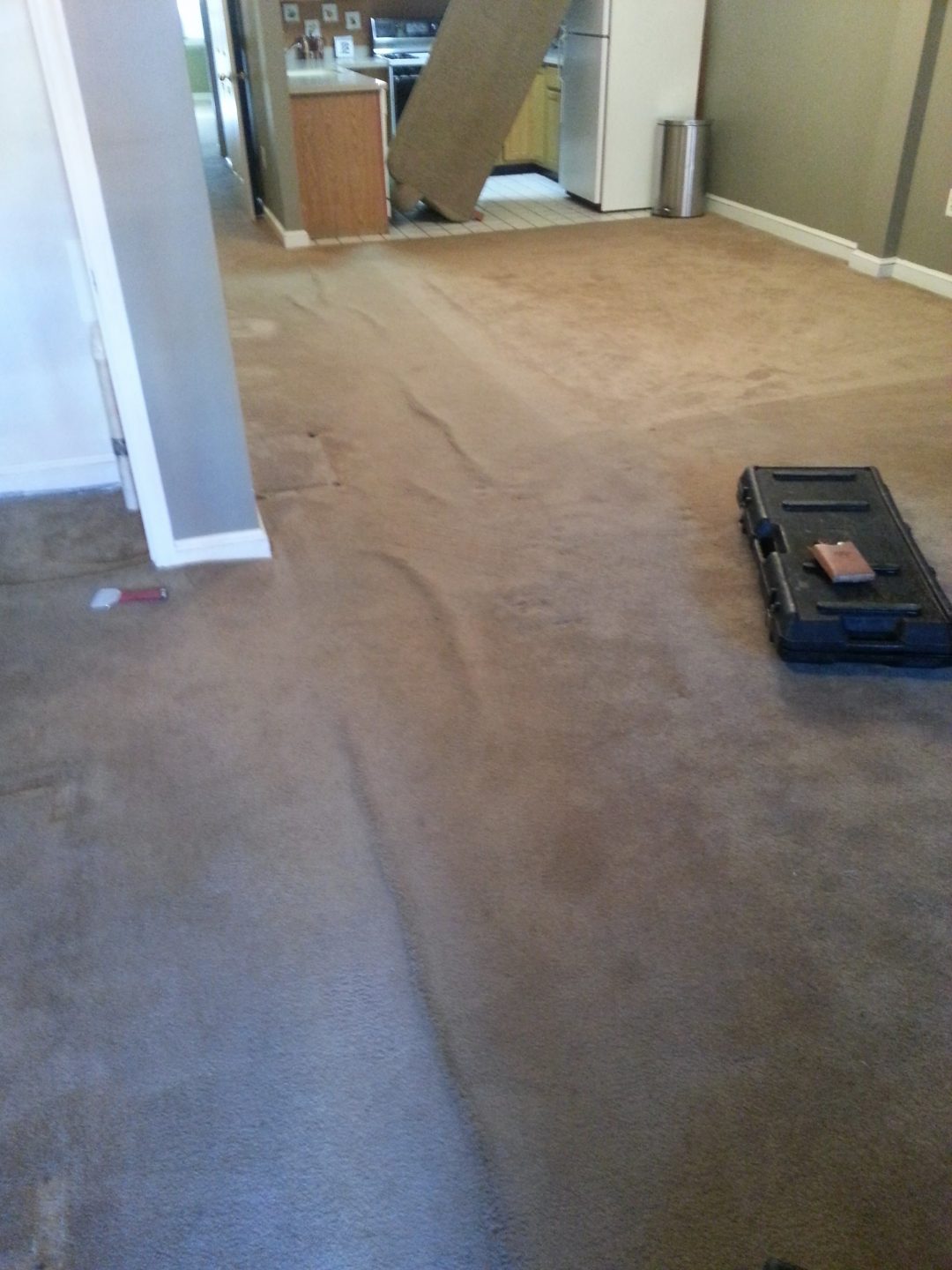 Maryland Carpet Stretching and Carpet Cleaning Bethesda MD Maryland