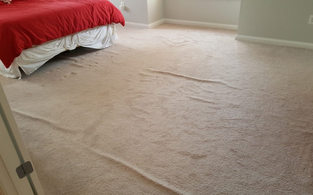 Carpet Stretching and Cleaning Maryland