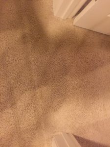Pet Damage Carpet Repair Bowie MD