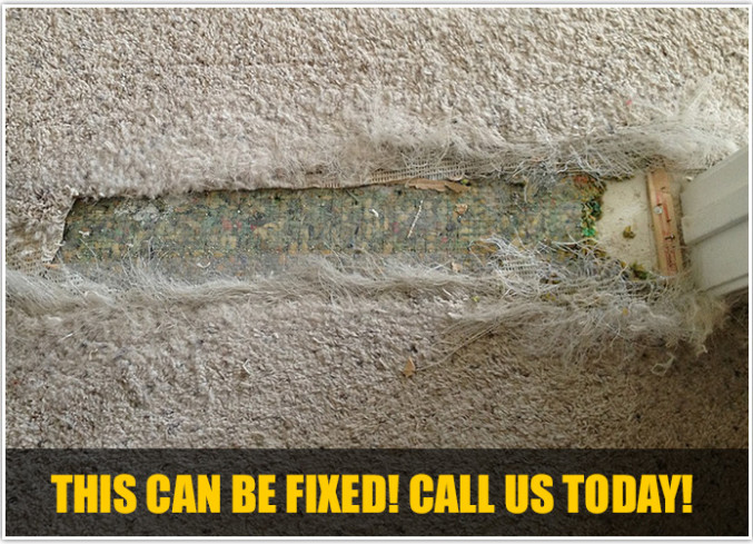 Baltimore Carpet Repair  Don't Replace it Repair it!