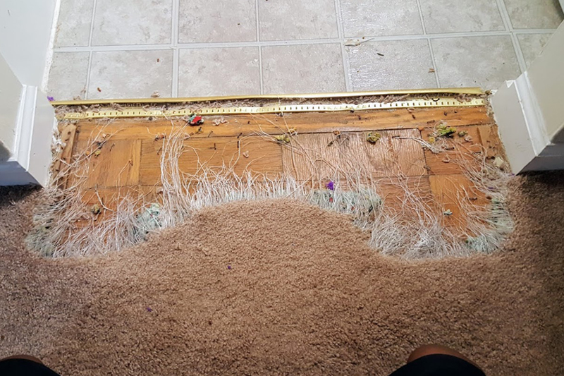 Maryland Carpet Repair  Don't Replace it Repair it!