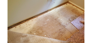 Carpet Repair Odenton MD