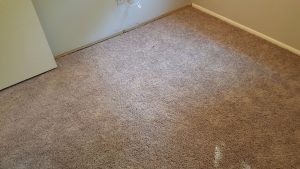 Carpet Repair and Reinstallation in Odenton MD